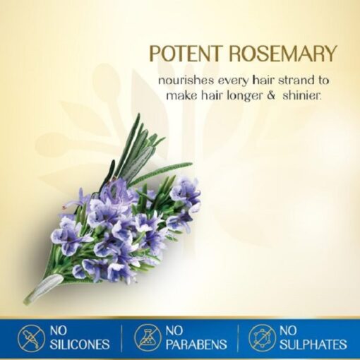 Herbs India 7 Seed Hair Oil With Rosemary – 280ml - Image 3