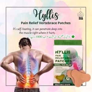 Hyllis Pain Relief, Herbal Pain Patches,